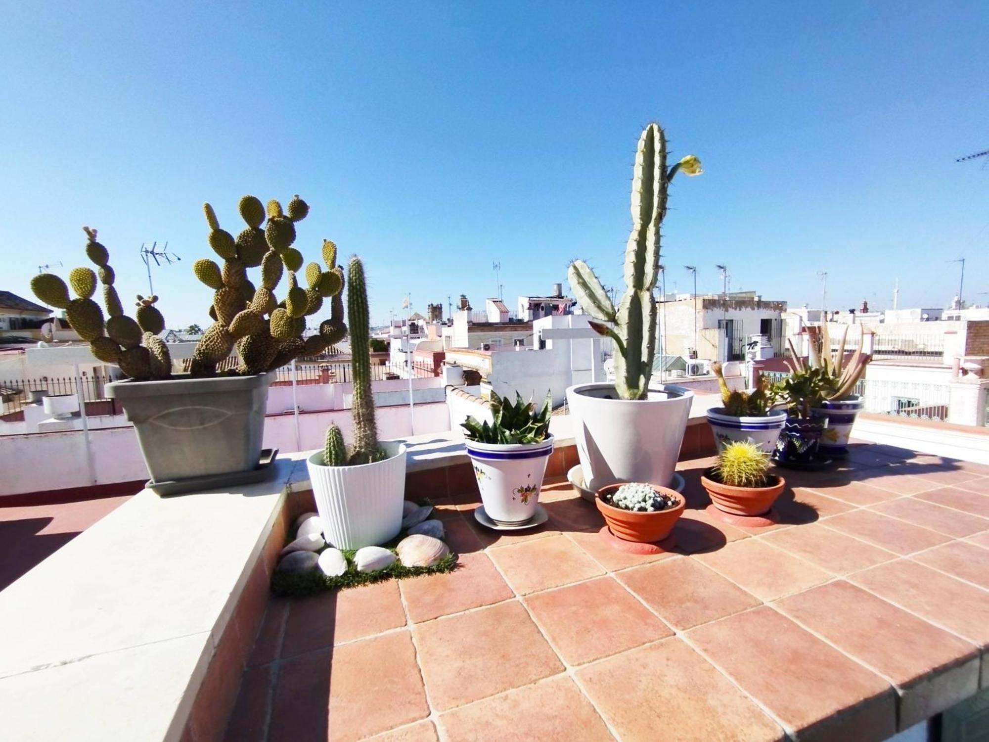Appartement Casa Gavidia - Duplex With Panoramic View *